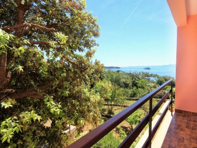 Apartment Four-bedroom apartment near beach Prižba, Korčula A-10061-b - Outdoor photo 33