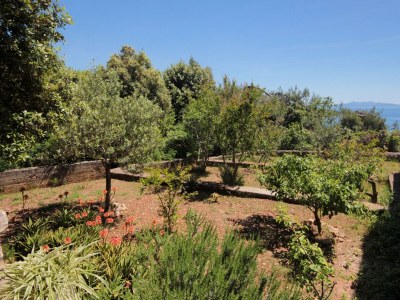 Apartment Two bedroom apartment near beach Prižba, Korčula A-10061-c - Outdoor photo 11