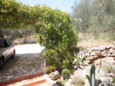 Apartment Studio flat with terrace Brbinj, Dugi otok AS-8160-b - Outdoor photo 15