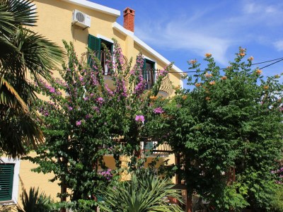 Apartment One bedroom apartment with balcony Kukljica, Ugljan A-8210-c - Outdoor photo 8