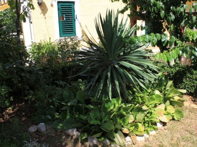 Apartment One bedroom apartment with balcony Kukljica, Ugljan A-8210-c - Outdoor photo 14
