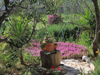 Apartment Three bedroom apartment with balcony and sea view Stari Grad, Hvar A-8708-a - Outdoor photo 7