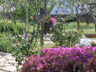 Apartment Three bedroom apartment with balcony and sea view Stari Grad, Hvar A-8708-a - Outdoor photo 13