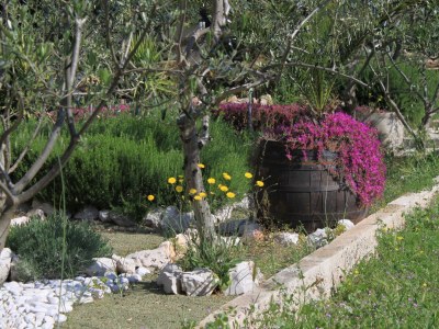 Apartment Three bedroom apartment with balcony and sea view Stari Grad, Hvar A-8708-a - Outdoor photo 15