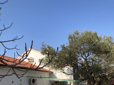 Apartment Two bedroom apartment with balcony and sea view Lun, Pag A-9395-b - Outdoor photo 5