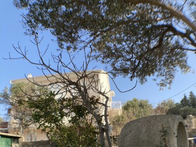 Apartment Two bedroom apartment with balcony and sea view Lun, Pag A-9395-b - Outdoor photo 10