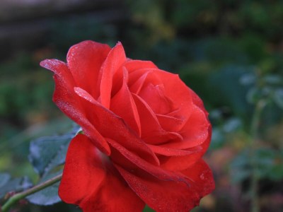 Apartment Two bedroom apartment with balcony and sea view Lun, Pag A-9395-b - Outdoor photo 11