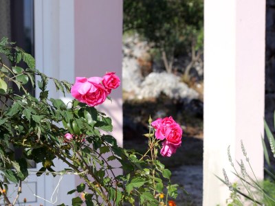 Apartment One bedroom apartment near beach Žuronja, Pelješac A-10123-a - Outdoor photo 13