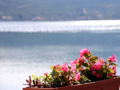 Apartment One bedroom apartment near beach Žuronja, Pelješac A-10123-a - Outdoor photo 28