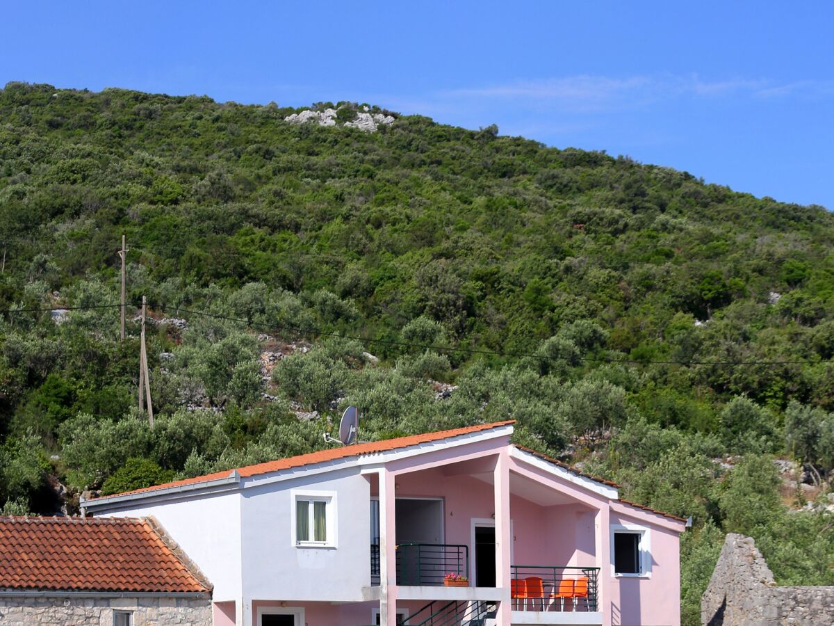 Apartment One bedroom apartment near beach Žuronja, Pelješac A-10123-b - Outdoor photo 2