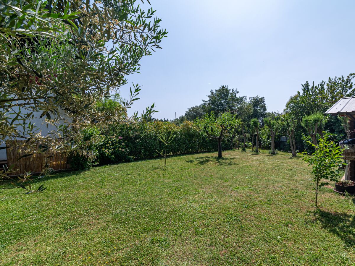 Apartment One bedroom apartment with terrace Poreč A-23561-b - Outdoor photo 4