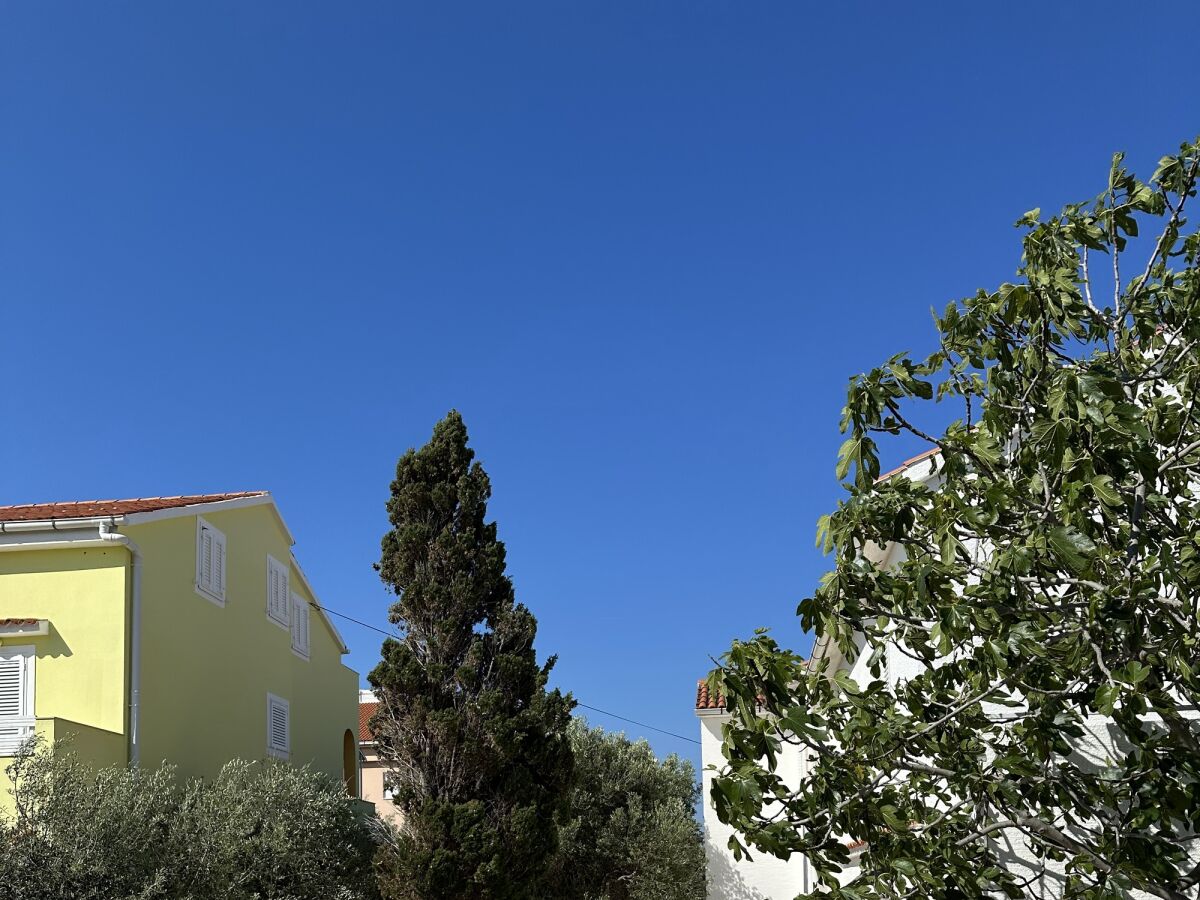 Apartment Two bedroom apartment with terrace Novalja, Pag A-22963-e - Outdoor photo 5