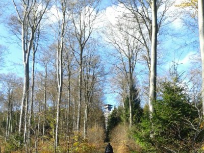 Holiday apartment Burgblick - Environment photo 16