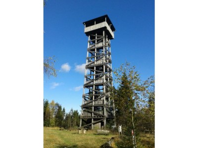 Holiday apartment Burgblick - Environment photo 17