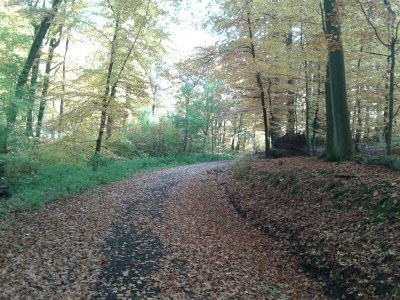 Holiday apartment Burgblick - Environment photo 19