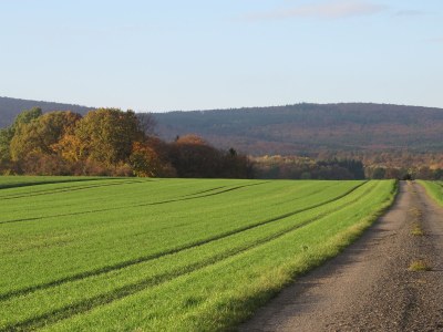 Holiday apartment Burgblick - Environment photo 23