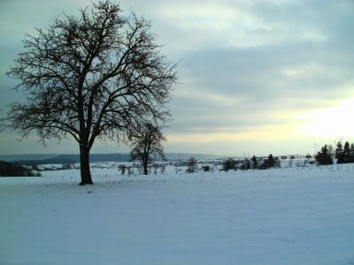 Apartment Guest rooms Eifelglück in Pelm - Environment photo 22