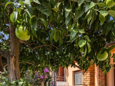 Holiday house Two bedroom house with terrace Rovinj K-24669 - Outdoor photo 25