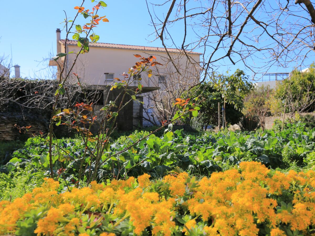 Apartment One bedroom apartment with balcony and sea view Podstrana, Split A-23954-a - Outdoor photo 5