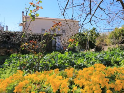 Apartment One bedroom apartment with balcony and sea view Podstrana, Split A-23954-a - Outdoor photo 5