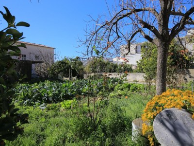 Apartment One bedroom apartment with air-conditioning Podstrana, Split A-23954-c - Outdoor photo 7
