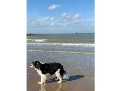 Holiday apartment Lichthuys 101 - Environment photo 23