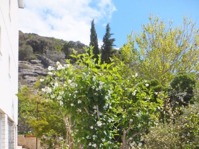 Apartment One bedroom apartment near beach Supetarska Draga - Gornja, Rab A-5054-a - Outdoor photo 10