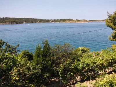 Apartment One bedroom apartment near beach Supetarska Draga - Gornja, Rab A-5054-f - Outdoor photo 21