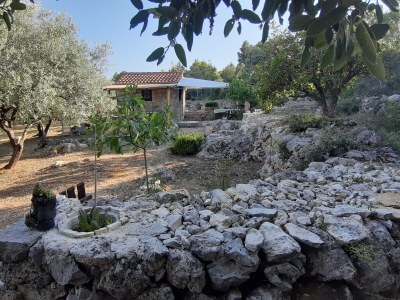 Holiday house One bedroom house with terrace Pašman K-15649 - Outdoor photo 8