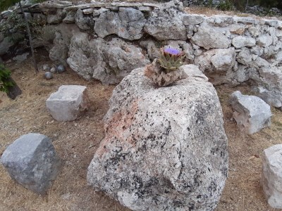 Holiday house One bedroom house with terrace Pašman K-15649 - Outdoor photo 11