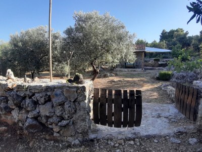 Holiday house One bedroom house with terrace Pašman K-15649 - Outdoor photo 12