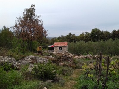 Holiday house One bedroom house with terrace Pašman K-15649 - Outdoor photo 14