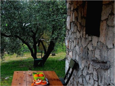 Holiday house One bedroom house with terrace Pašman K-15649 - Outdoor photo 22