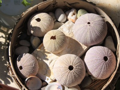 Apartment Three bedroom apartment near beach Preko, Ugljan A-8384-c - Outdoor photo 10