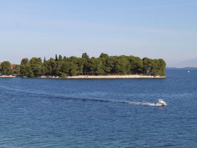 Apartment Three bedroom apartment near beach Preko, Ugljan A-8384-c - Outdoor photo 36