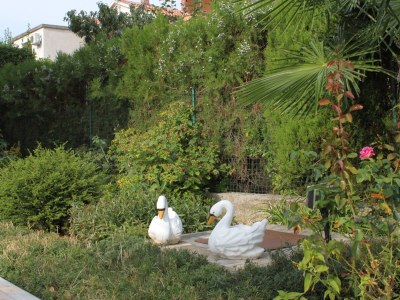 Apartment Two bedroom apartment with terrace Novigrad A-7108-b - Outdoor photo 10