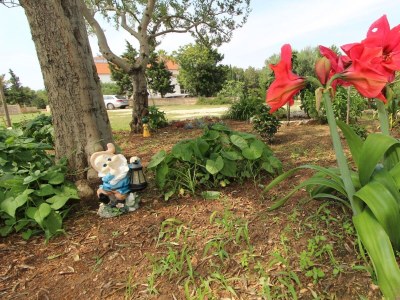 Apartment Two bedroom apartment with terrace Novalja, Pag A-6490-a - Outdoor photo 14