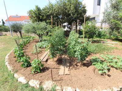 Apartment Two bedroom apartment with terrace Novalja, Pag A-6490-b - Outdoor photo 15