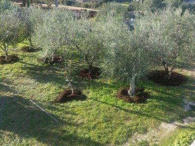 Apartment Two bedroom apartment with terrace Novalja, Pag A-6490-d - Outdoor photo 16