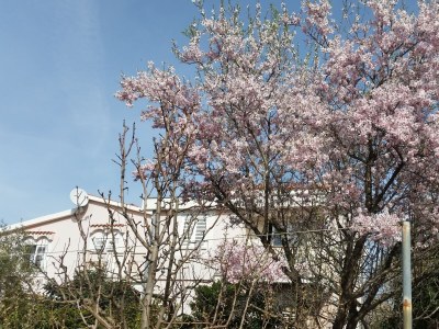 Apartment Two bedroom apartment with terrace Novalja, Pag A-6490-d - Outdoor photo 17