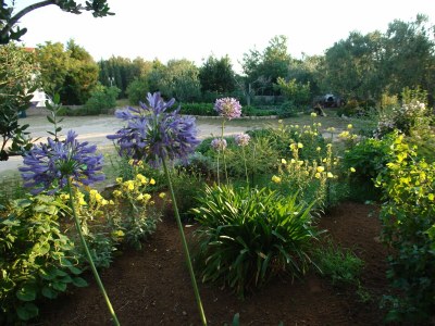 Apartment Two bedroom apartment with terrace Novalja, Pag A-6490-d - Outdoor photo 20