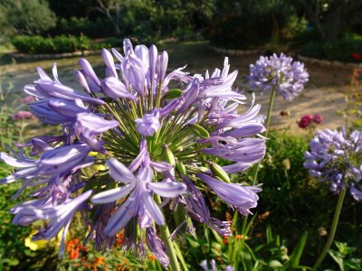 Apartment Two bedroom apartment with terrace Novalja, Pag A-6490-d - Outdoor photo 21