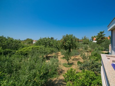Apartment Two bedroom apartment with terrace Novalja, Pag A-6490-d - Outdoor photo 43