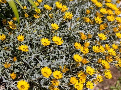 Holiday house Two bedroom house with terrace Rošići, Opatija K-18442 - Outdoor photo 24