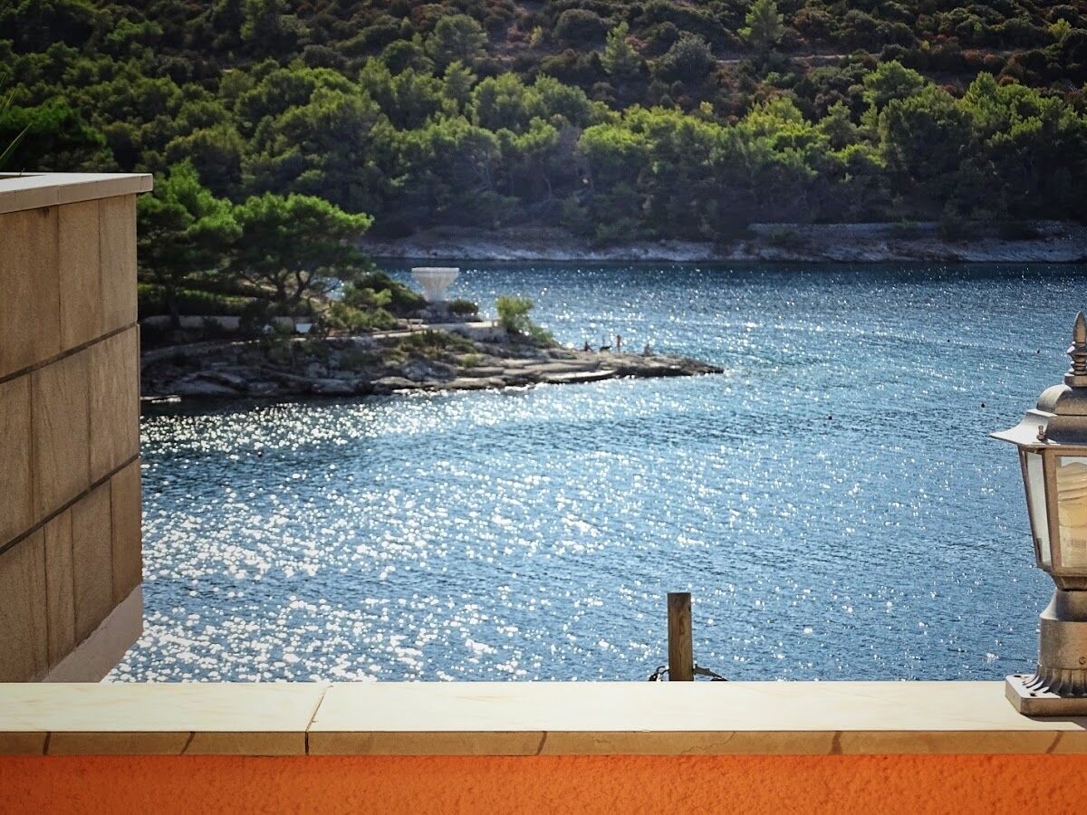 Apartment One bedroom apartment with terrace and sea view Povlja, Brač A-14399-b