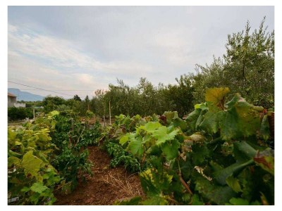 Holiday house Three bedroom house with balcony and sea view Kaštel Štafilić, Kaštela K-23408 - Outdoor photo 6