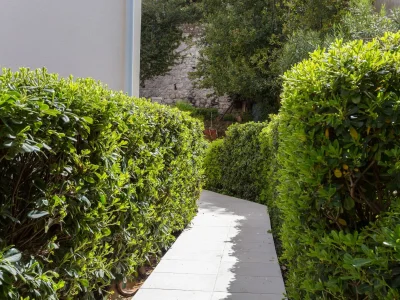 Apartment Two bedroom apartment with terrace Dubrovnik A-4732-b - Outdoor photo 13