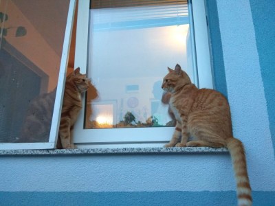 Apartment Two bedroom apartment with terrace and sea view Sali, Dugi otok A-8181-a - Outdoor photo 6