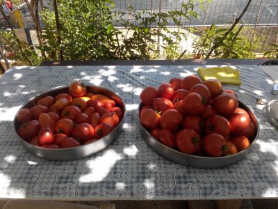 Apartment Two bedroom apartment with terrace and sea view Sali, Dugi otok A-8181-a - Outdoor photo 8