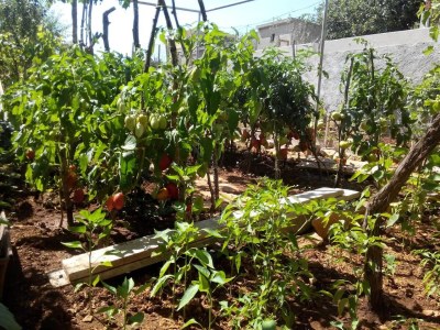 Apartment Two bedroom apartment with terrace and sea view Sali, Dugi otok A-8181-a - Outdoor photo 9